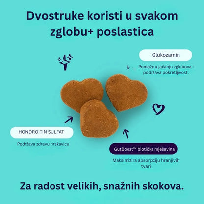 Joint + GutBoost Dog Treats