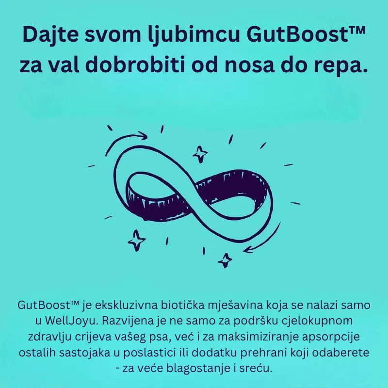 Joint + GutBoost Dog Treats
