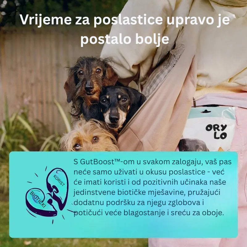 Joint + GutBoost Dog Treats